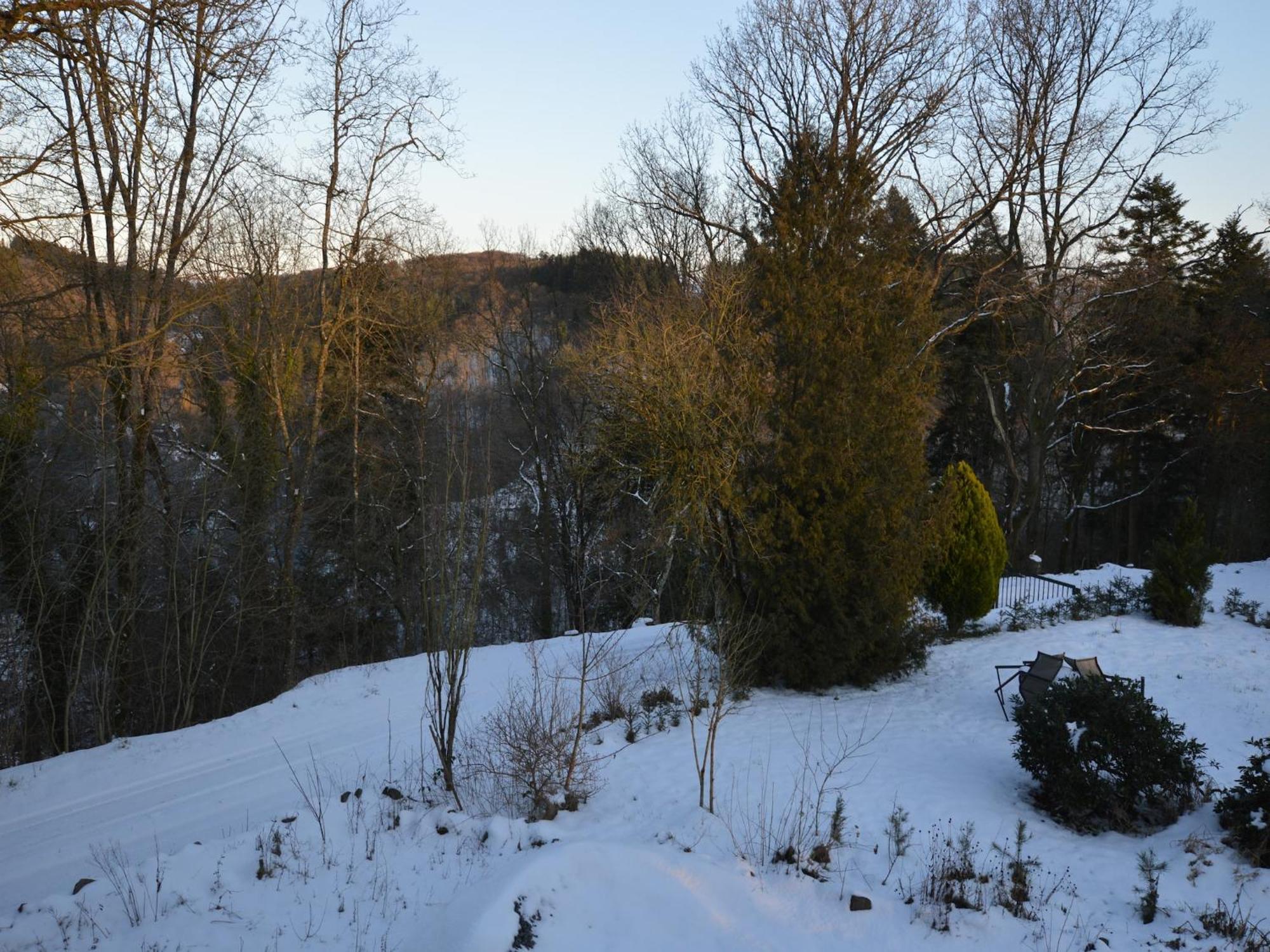 Cosy Apartment In Manderscheid With Balcony Luaran gambar